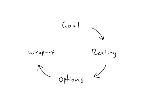Goal > Reality > Options > Wrap-up